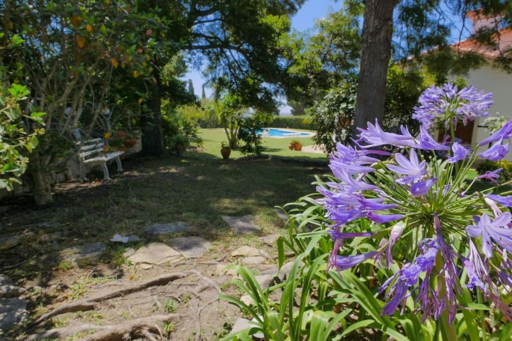 Villa Casa De Miraventos Palmela Esterno foto